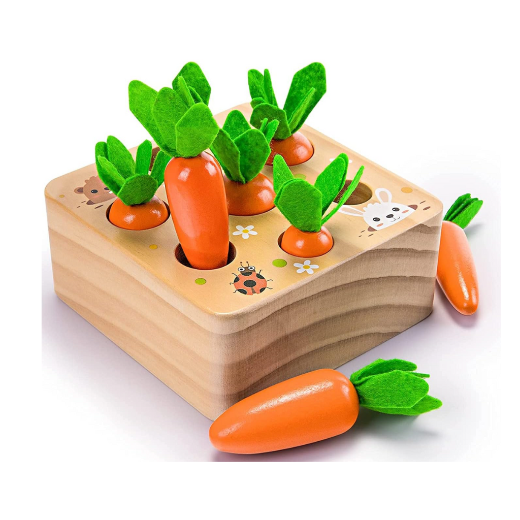 Ancaixin Montessori Toys for Babies 6-12 Months, Wooden Toys
